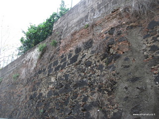 tania fortificata-Bastione di san Giovanni via Gulisano 24-11-2014 16-08-12